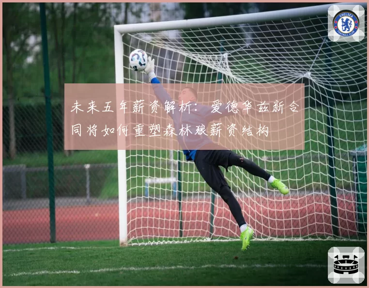 未来五年薪资解析:爱德华兹新合同将如何重塑森林狼薪资结构