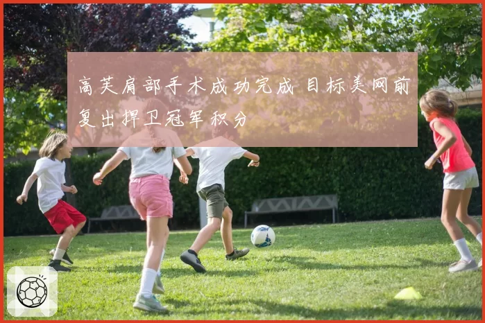 高芙肩部手术成功完成 目标美网前复出捍卫冠军积分