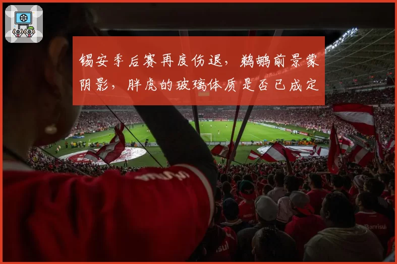 锡安季后赛再度伤退，鹈鹕前景蒙阴影，胖虎的玻璃体质是否已成定局？