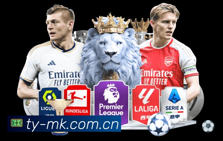 MK体育平台展示图